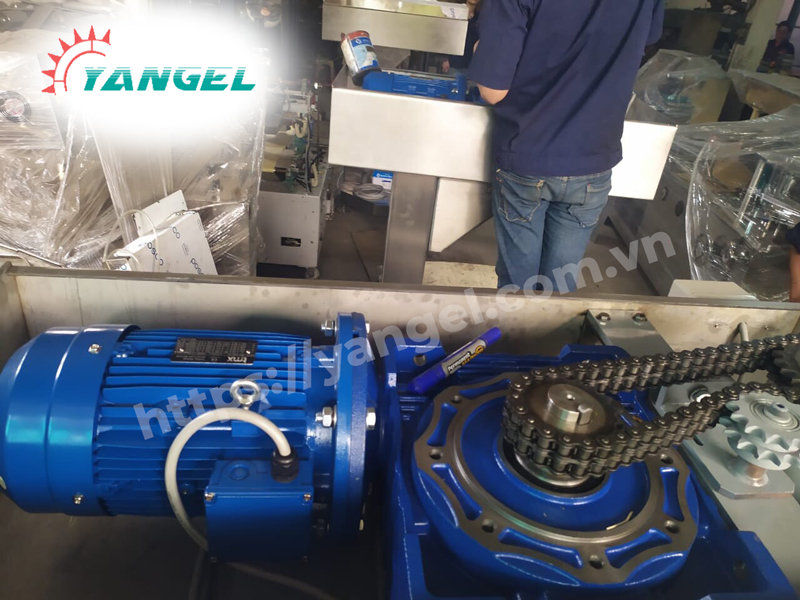 Mô tơ Gear 3 phase